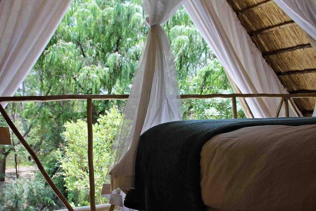 Hot Spring Bungalow In Limpopo Gemsbokfontein Eksteriør billede