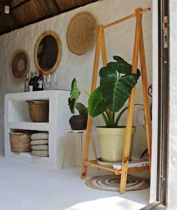 Hot Spring Bungalow In Limpopo Gemsbokfontein Eksteriør billede