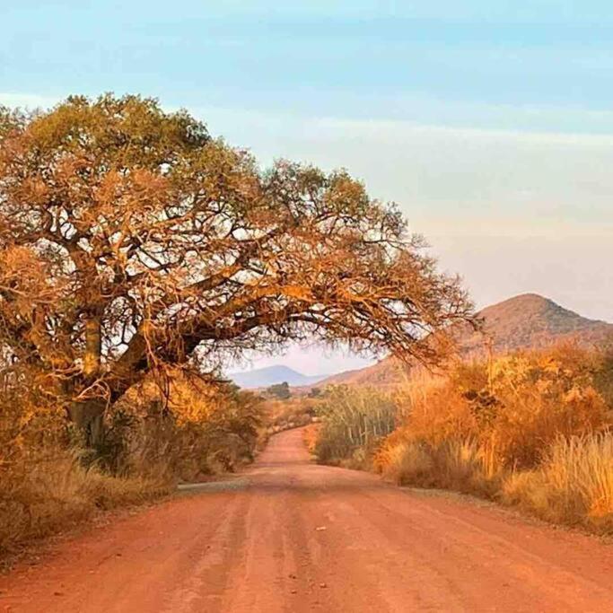Hot Spring Bungalow In Limpopo Gemsbokfontein Eksteriør billede