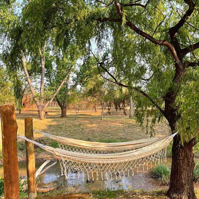 Hot Spring Bungalow In Limpopo Gemsbokfontein Eksteriør billede